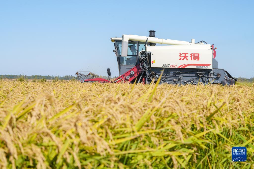 澳门威尔斯人网址